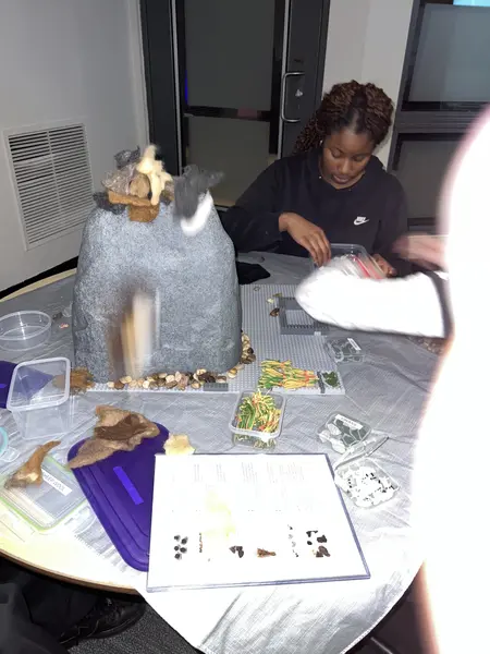 Interactive career readiness and soft skills presentation